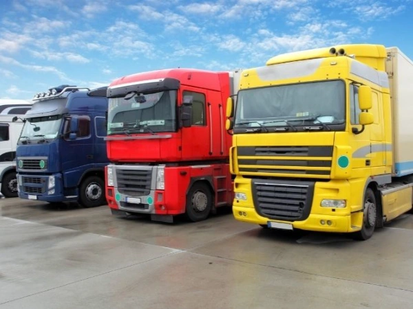 Bursa Tortum Nakliye